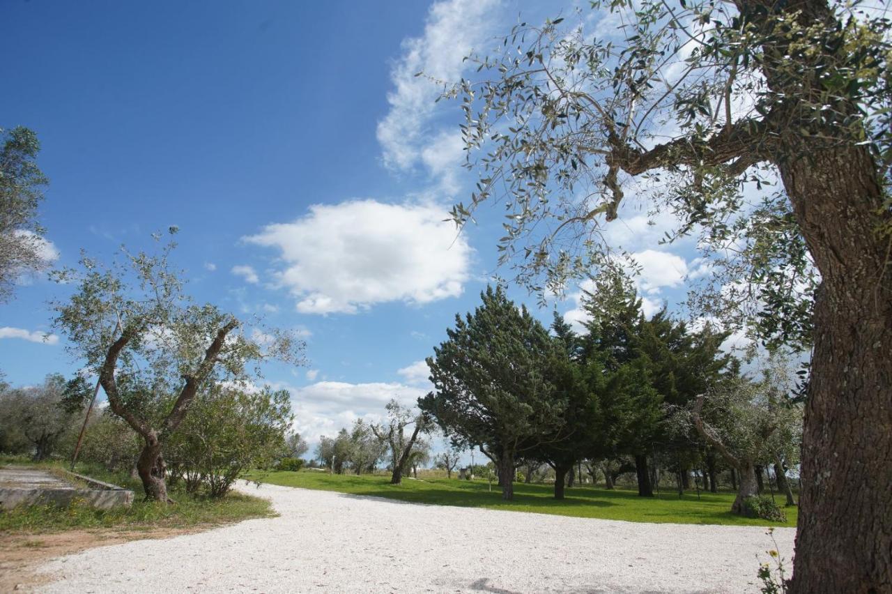 Gli Ulivi Di Gino Bed & Breakfast Sanarica ภายนอก รูปภาพ