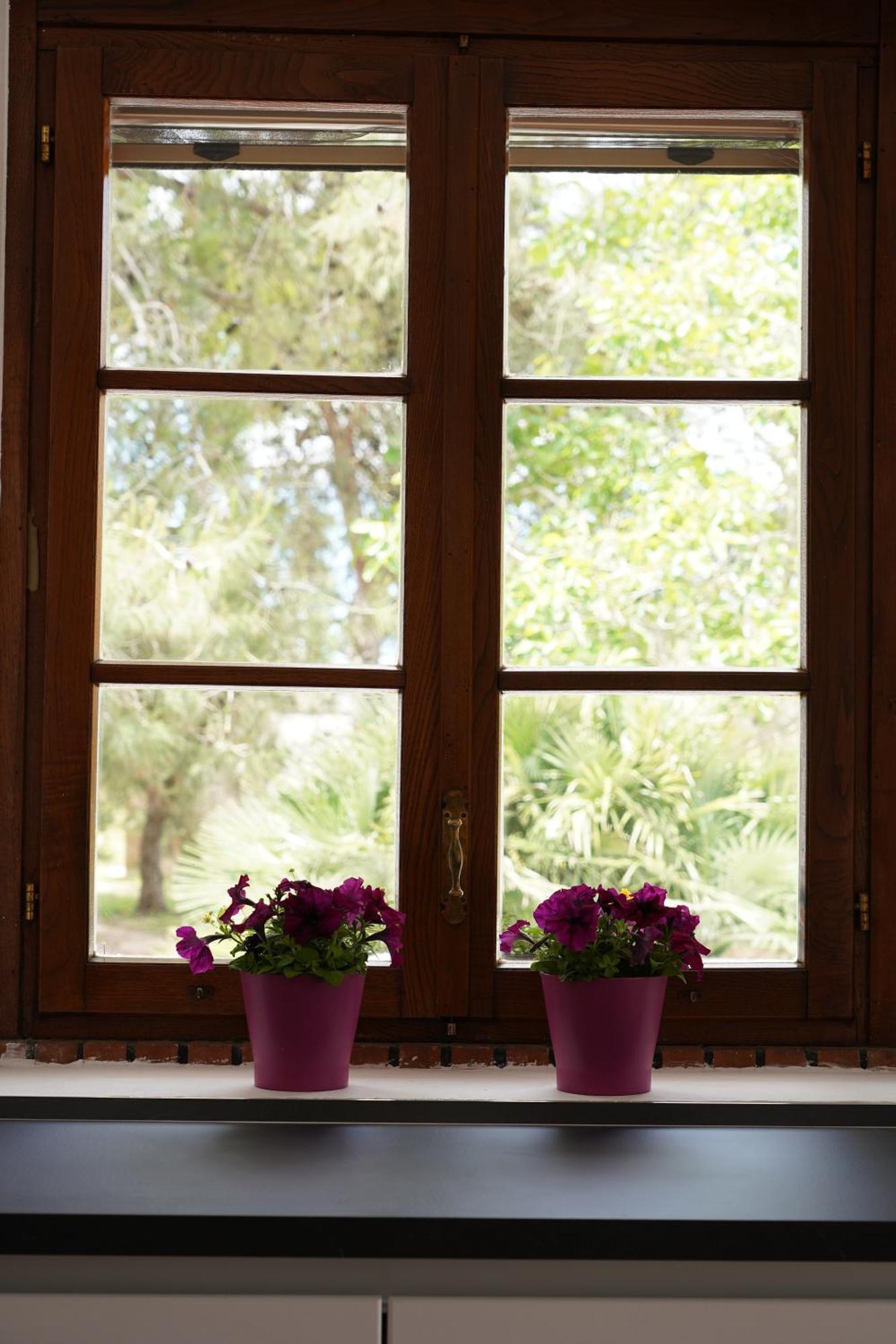 Gli Ulivi Di Gino Bed & Breakfast Sanarica ภายนอก รูปภาพ