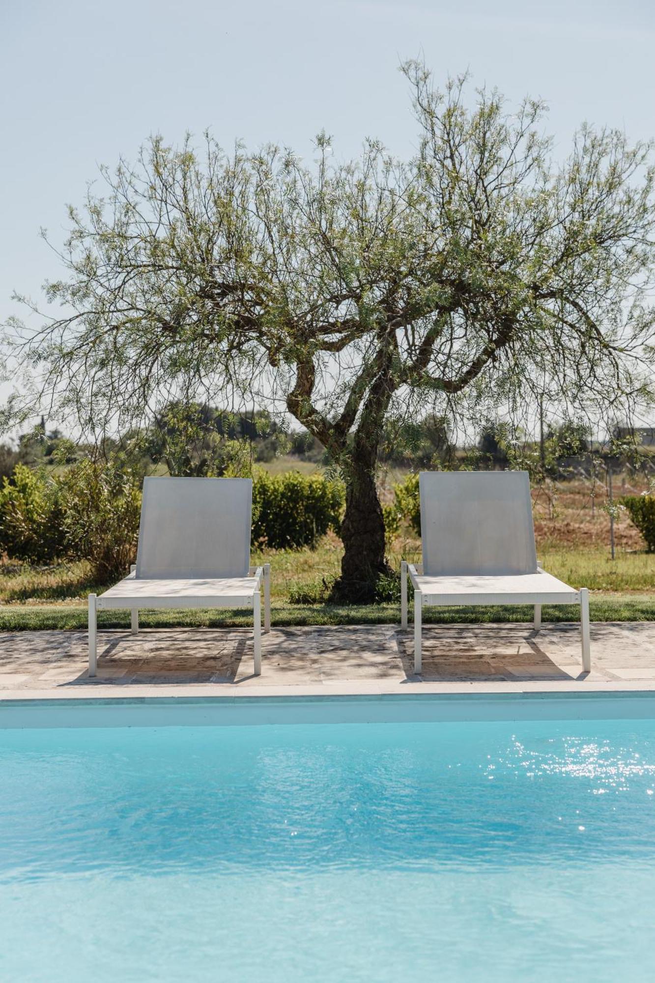 Gli Ulivi Di Gino Bed & Breakfast Sanarica ภายนอก รูปภาพ